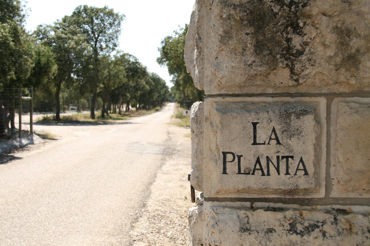 La Casita De La Planta Hotel Quintanilla de Onesimo Ngoại thất bức ảnh